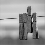 4 pegs on a line in monochrome