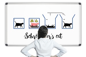 Back view of woman looking at Scrodinger's cat theory marked up on whiteboard