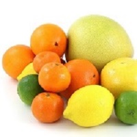 A selection of citrus fruits