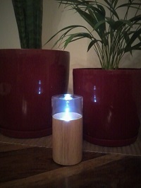 Redolent nebulizing diffuser with plants in the background