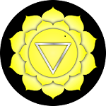 Yellow flower representing the solar plexus chakra