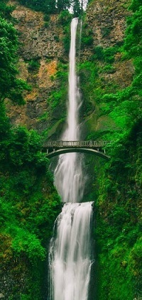 A cascading waterfall set against deep green foliage with a bridge in the foreground